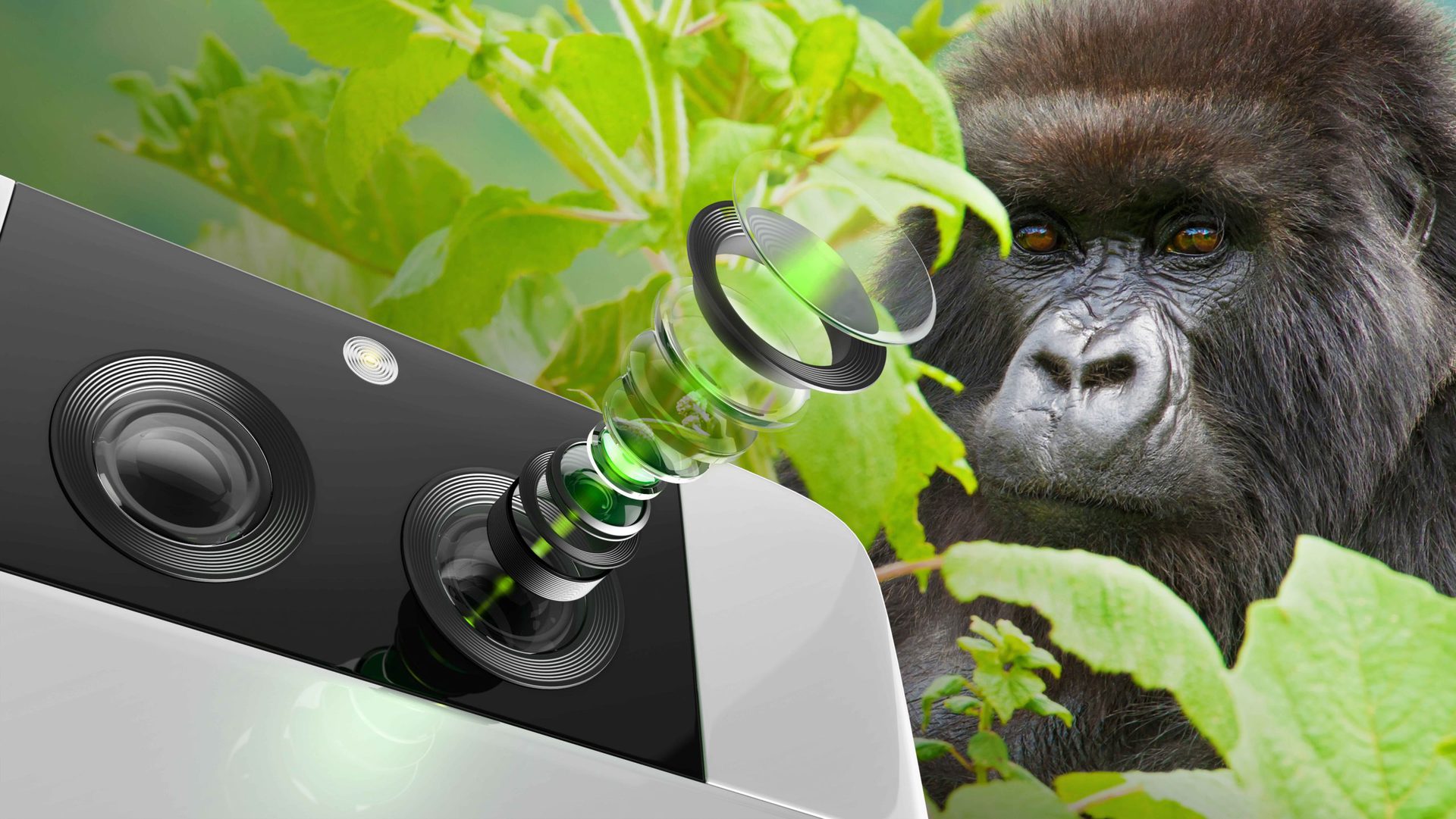Gorilla Glass DX+